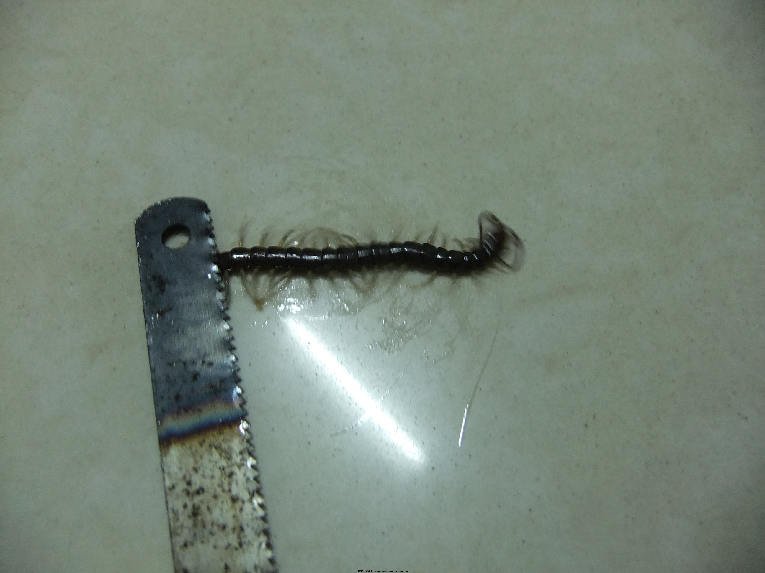 DSCF4618.JPG