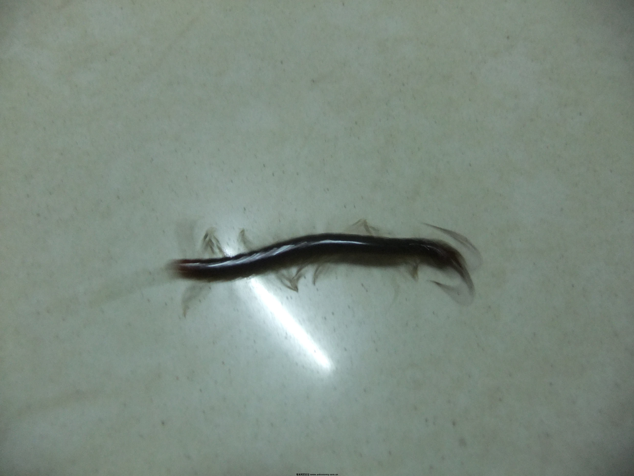 DSCF4620.JPG