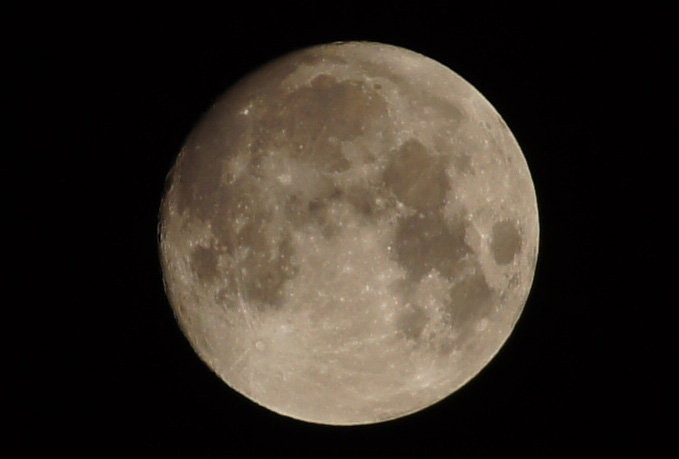 DSC01774 100%裁剪.JPG