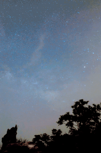 DSC0294.gif