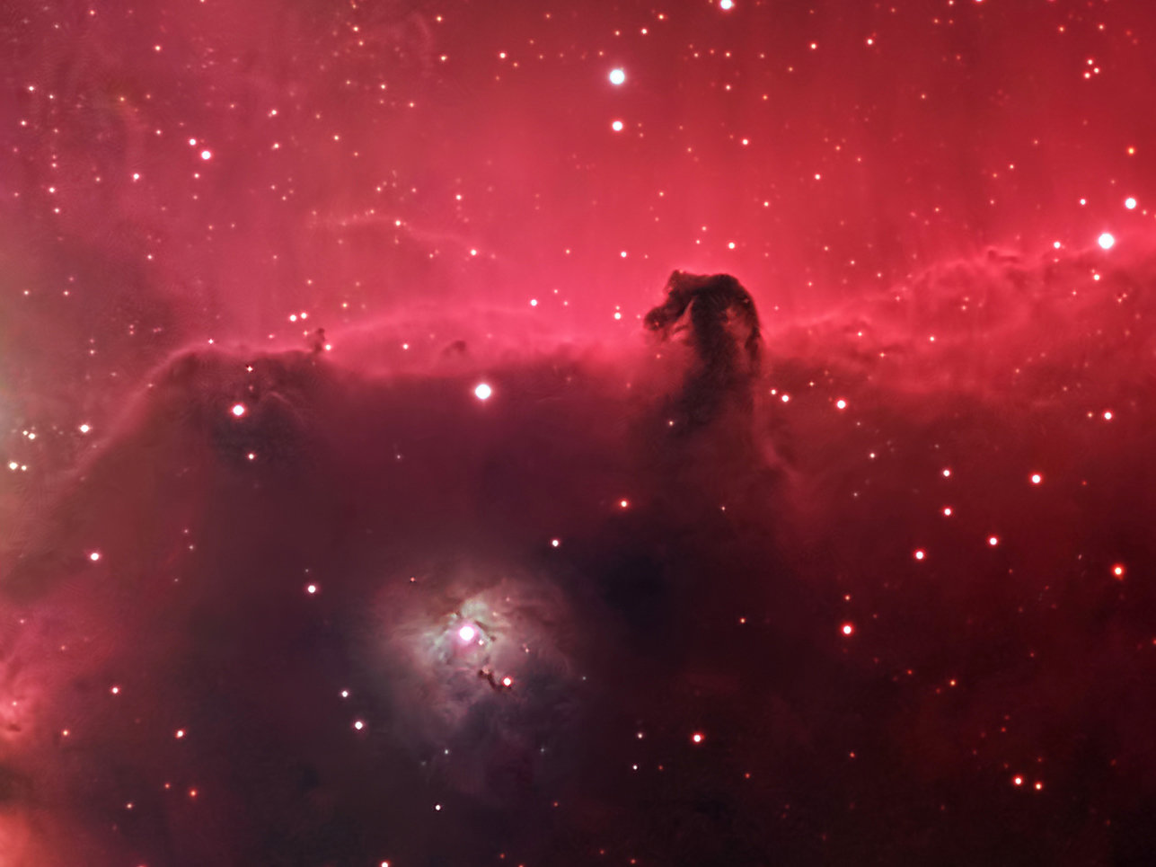 horsehead-hargb-4-website.jpg