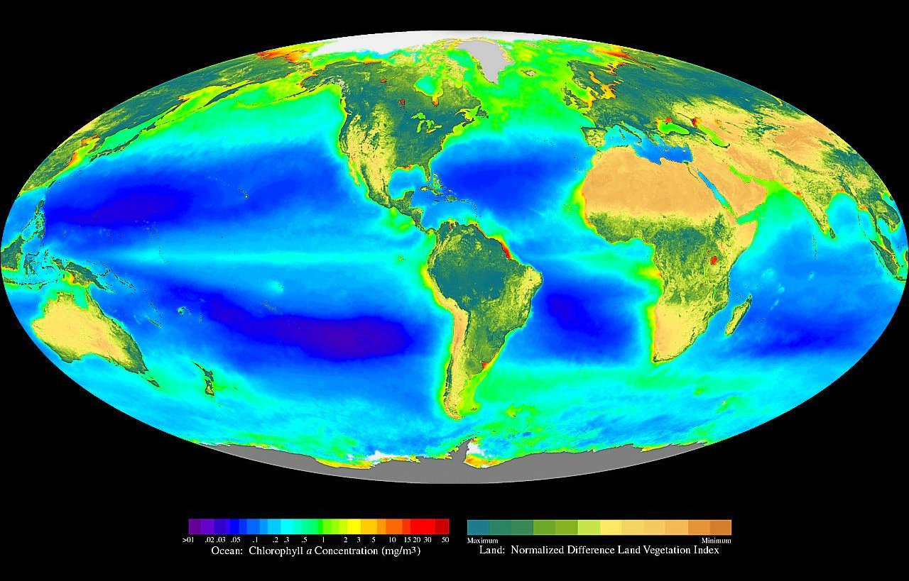 Seawifs_global_biosphere.jpg