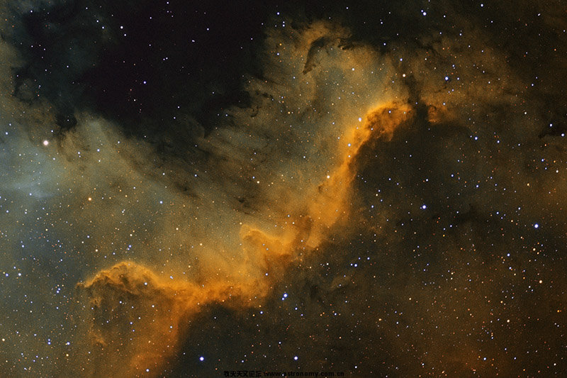 20110702-ngc7000-800.jpg