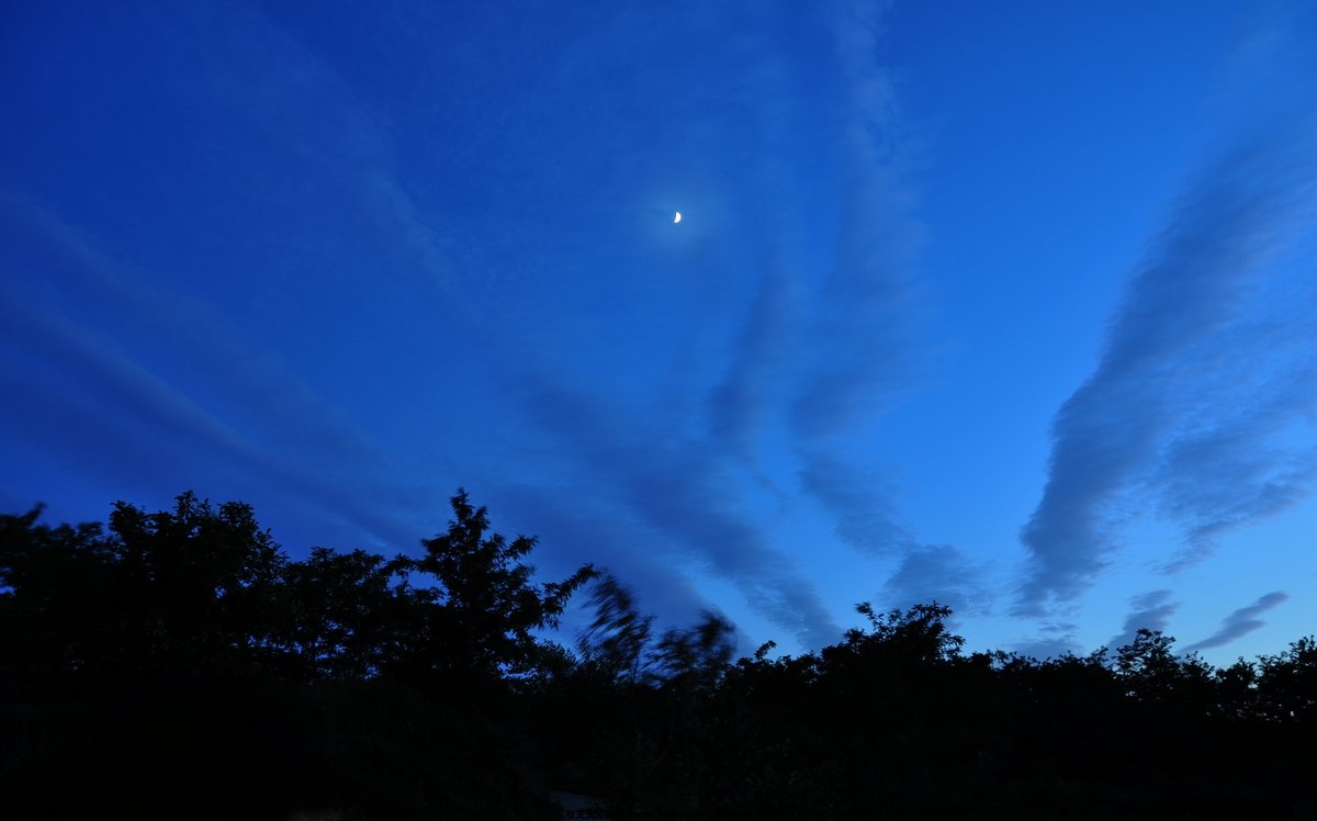 DSC_0008.JPG