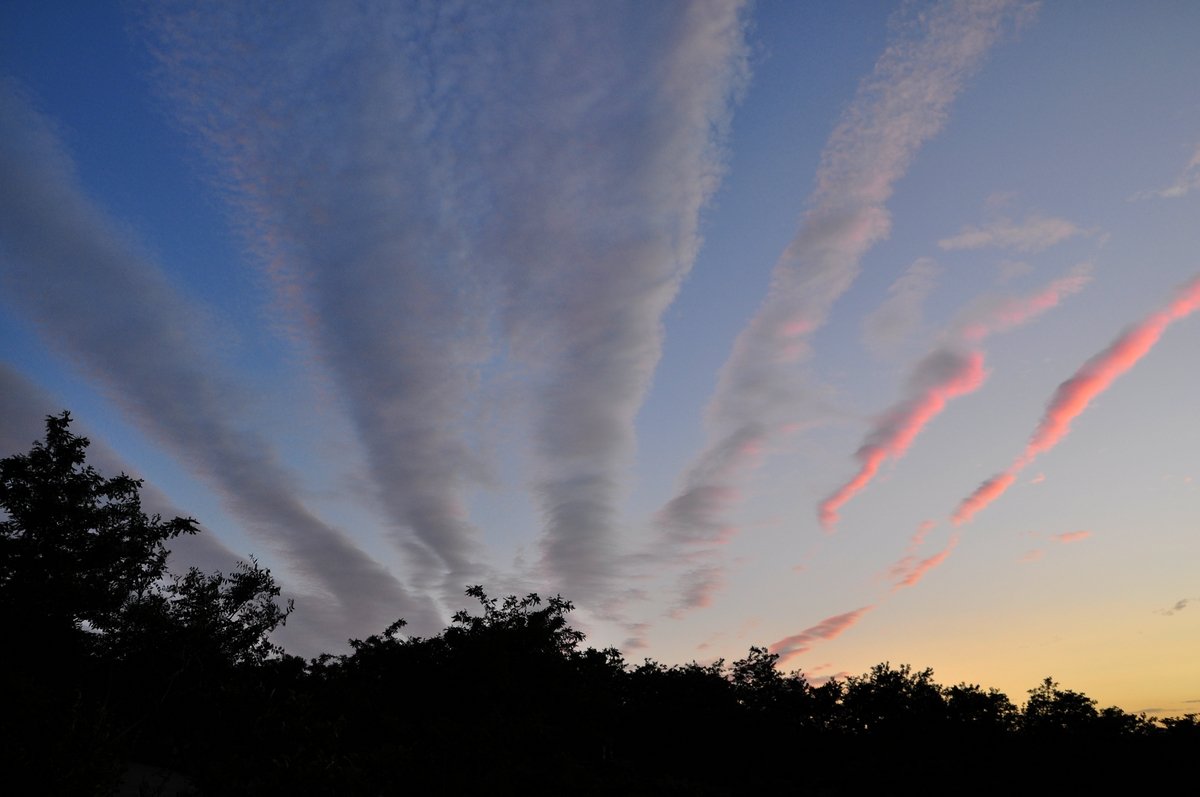 DSC_0004.JPG
