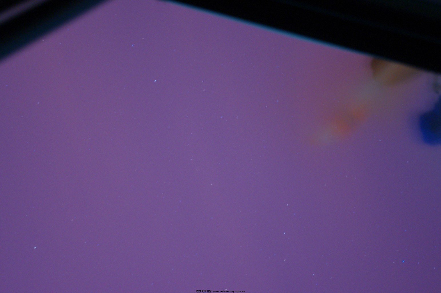 55146.jpg