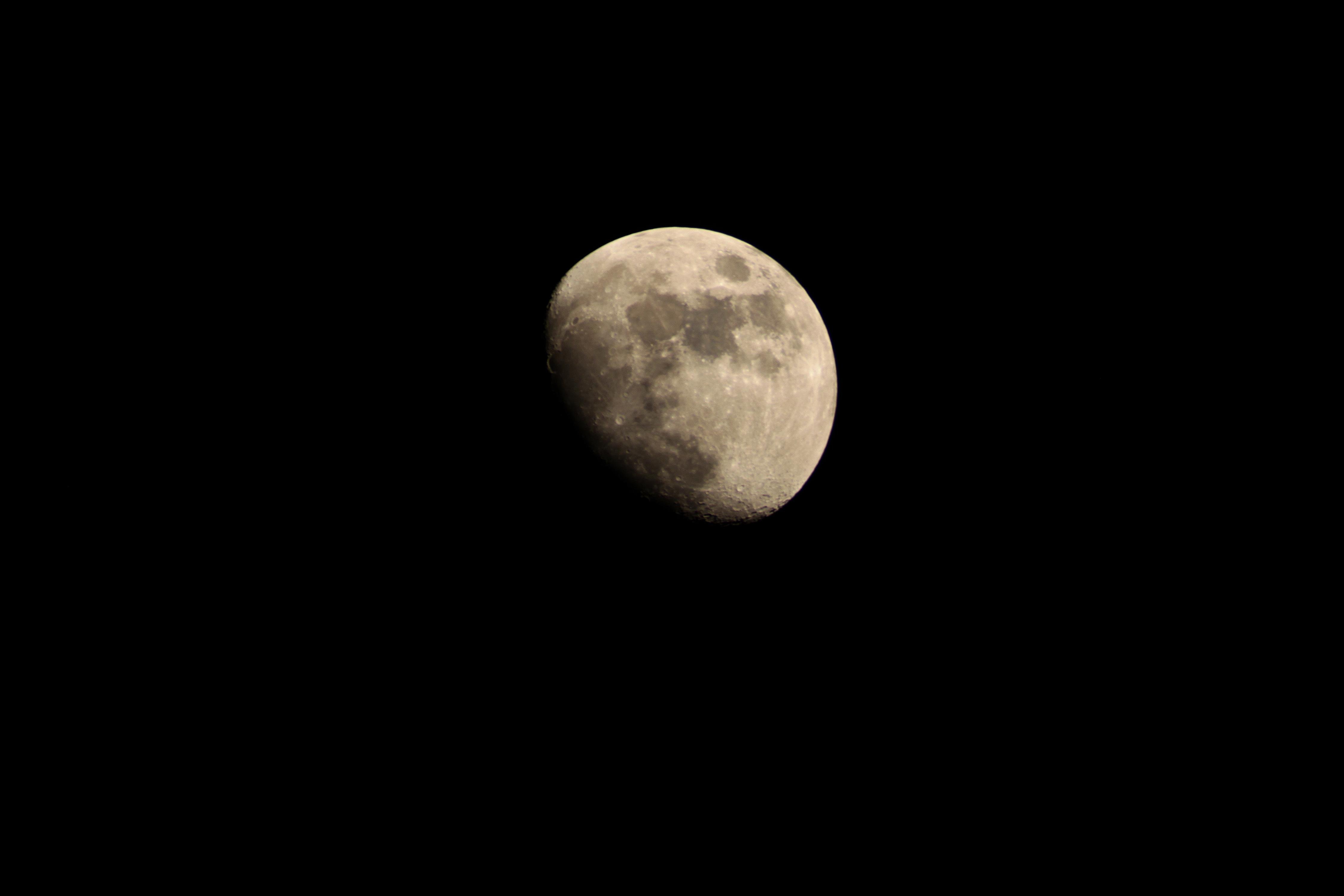IMG_0056.JPG
