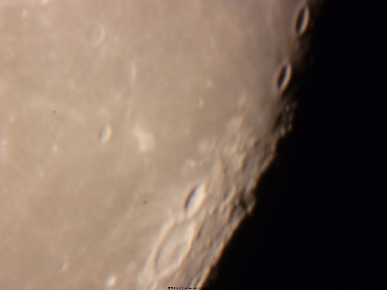 P1030577.JPG