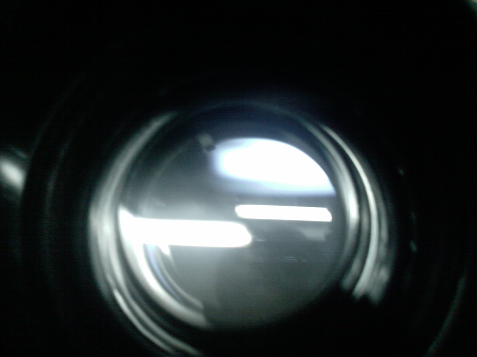 IMAG0011.jpg