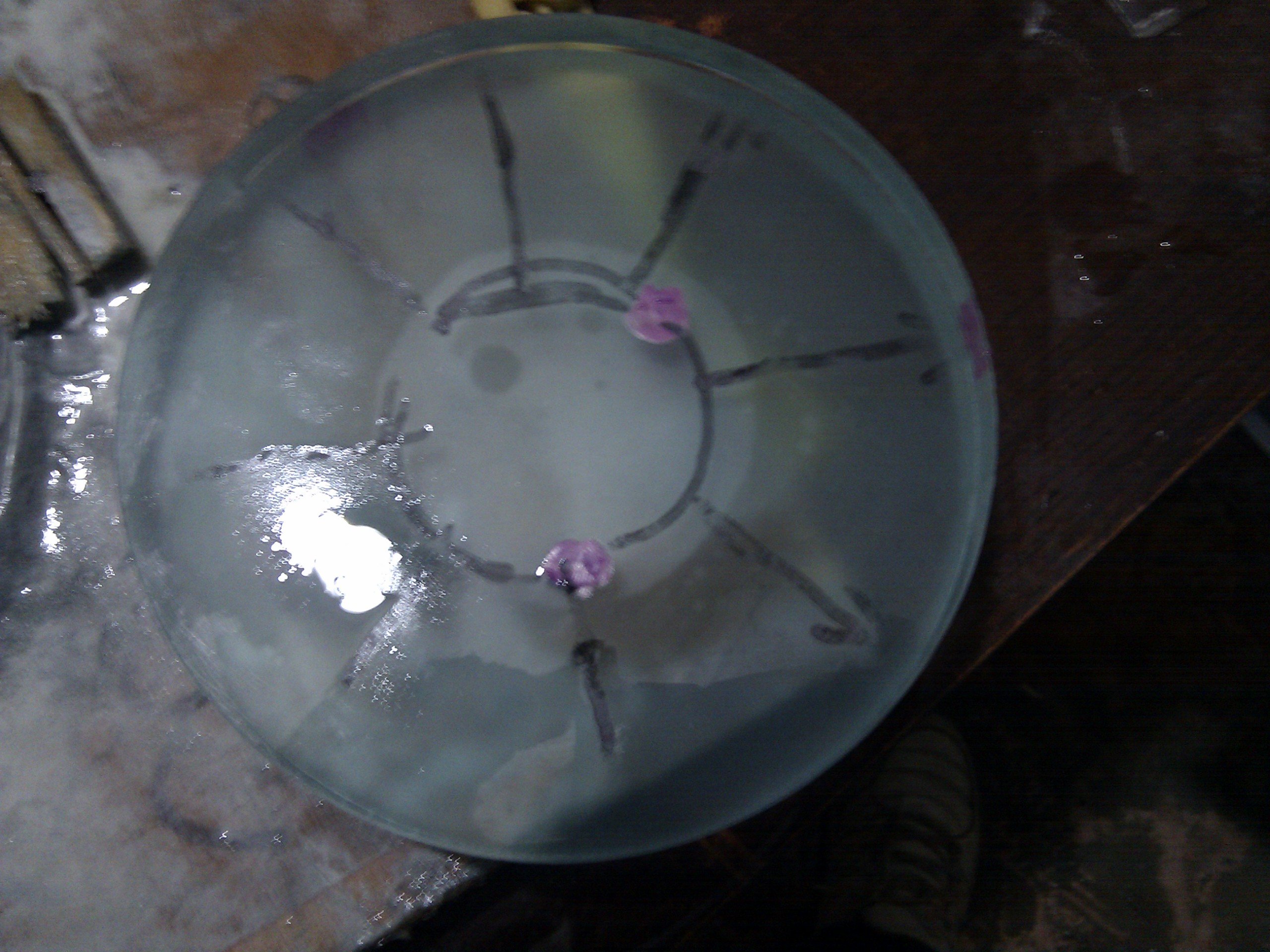 IMG_20110715_110305.jpg