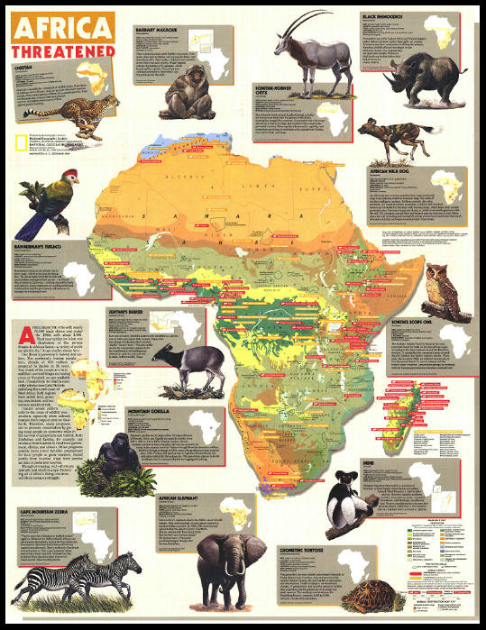 [美国国家地理]Africa Threatened (1990)（缩略图）.jpg