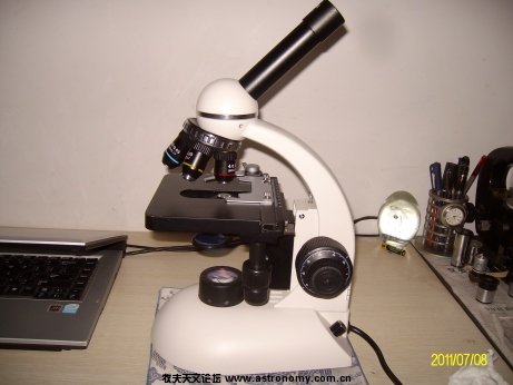 ALIM8977.jpg