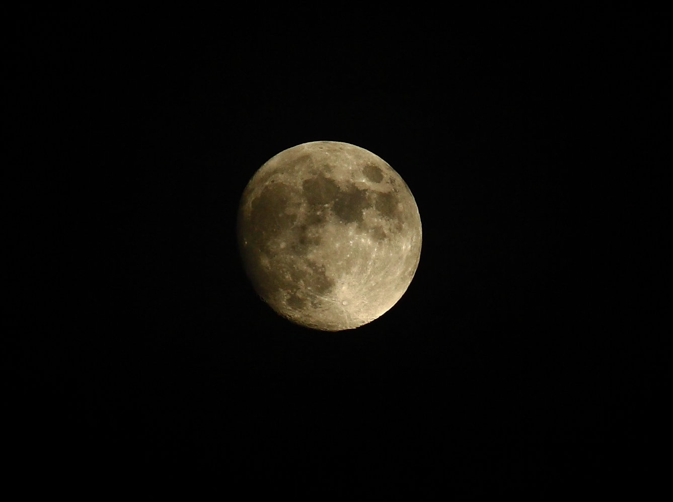 IMG_8281.JPG
