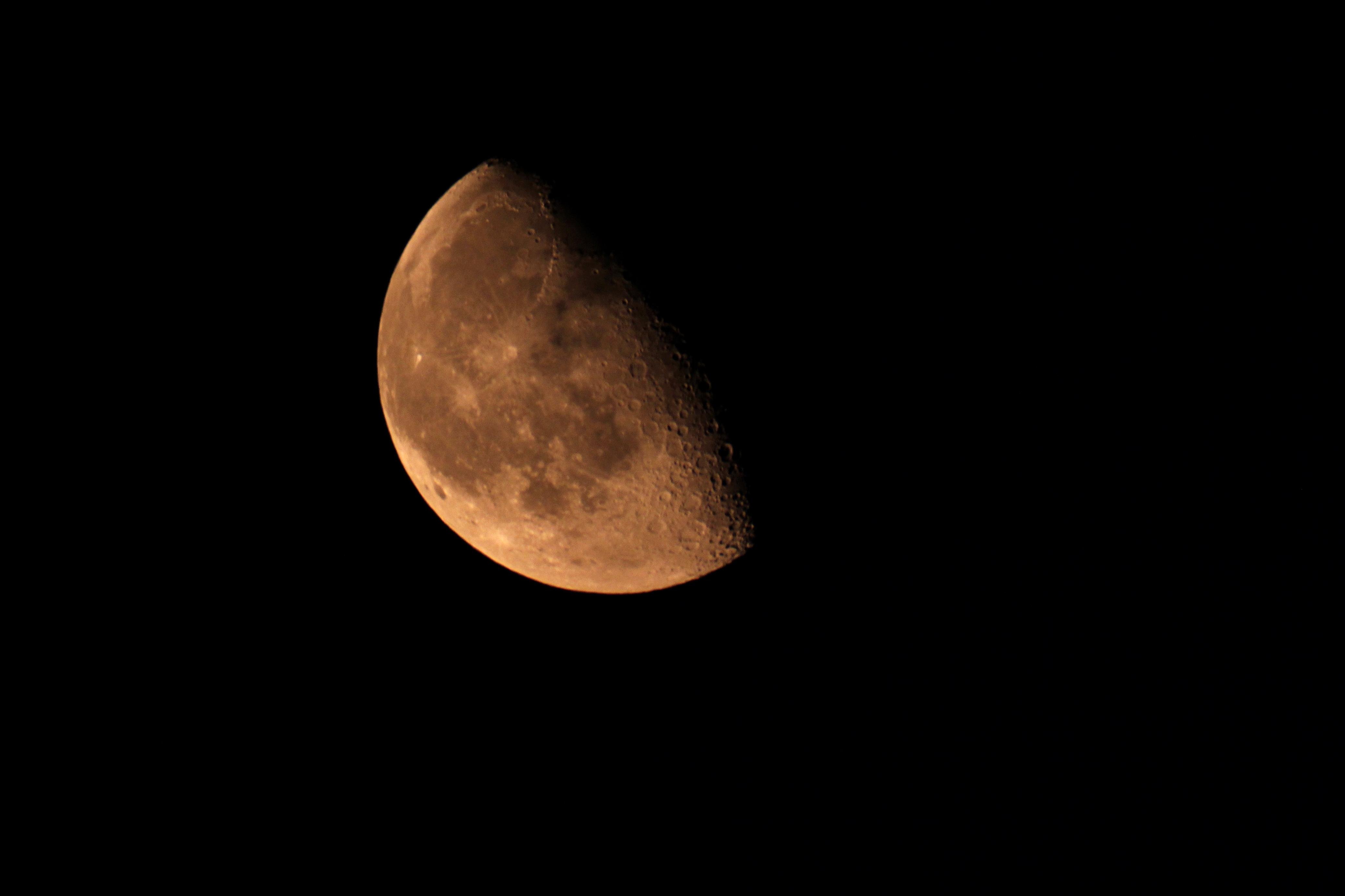 IMG_4216.JPG