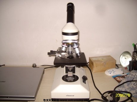 ALIM9161.jpg