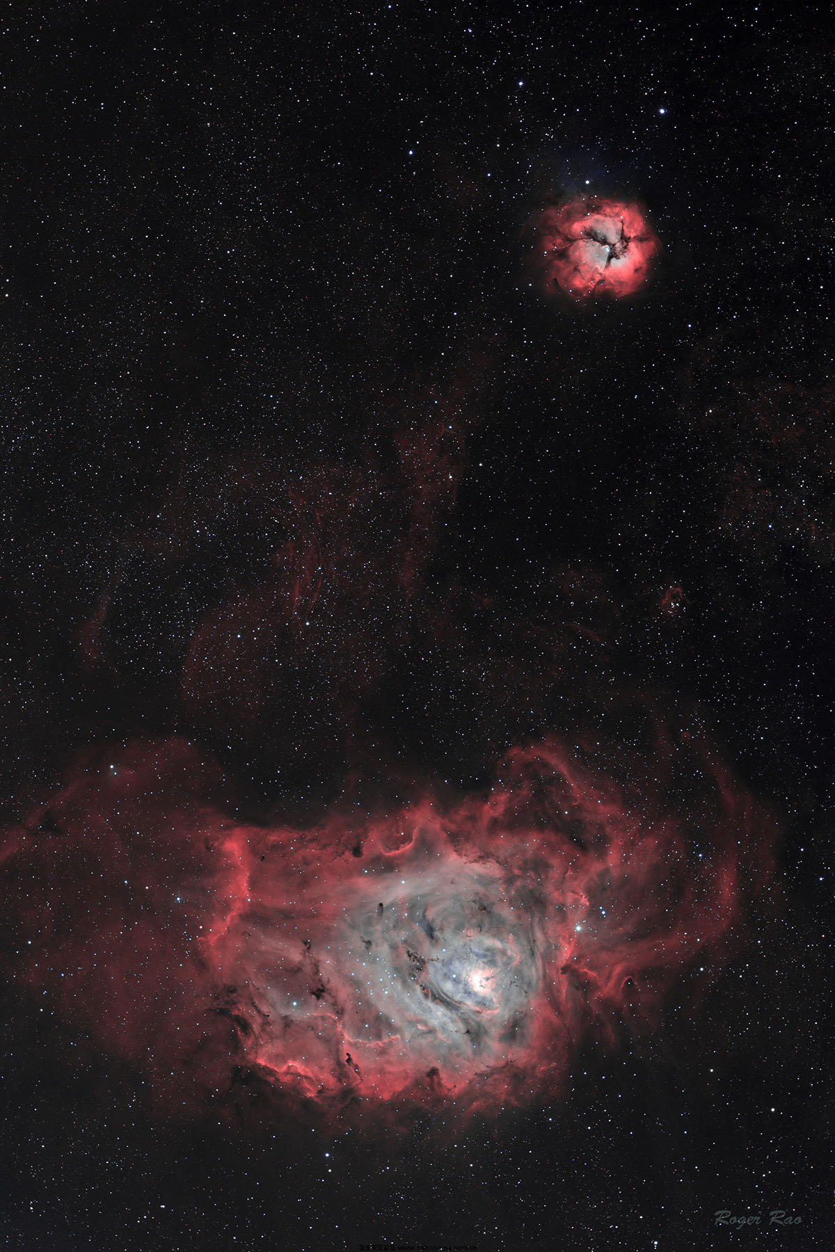 HOO-1200.jpg