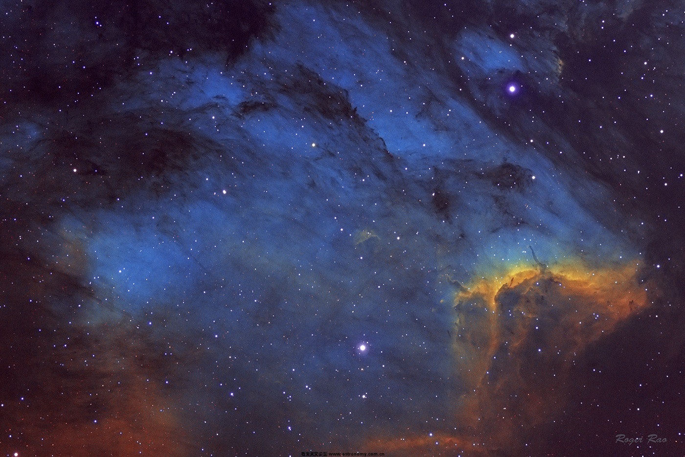 SHO-1400.jpg