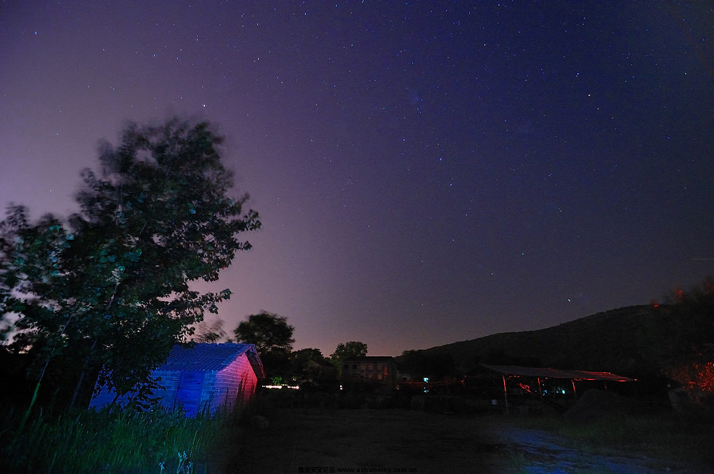 DSC_2011.jpg