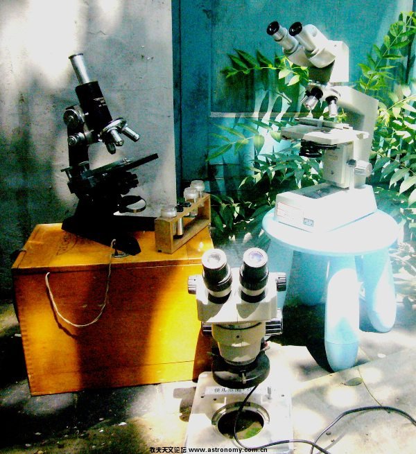 P1110834.JPG