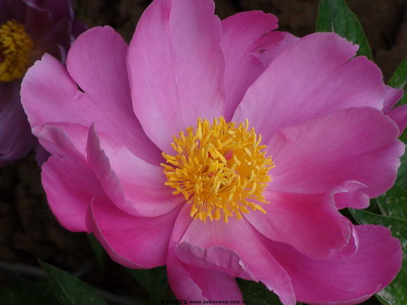 DSC00051_调整大小.JPG