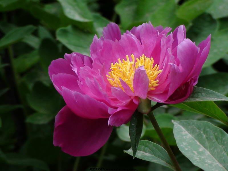 DSC00050_调整大小.JPG