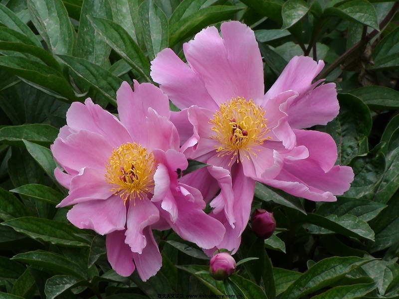 DSC00053_调整大小.JPG
