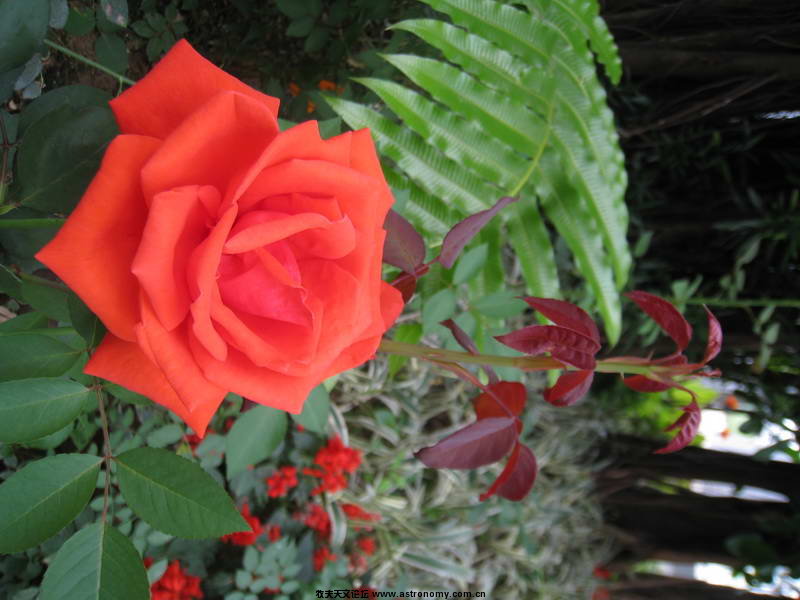 IMG_0407_调整大小.JPG
