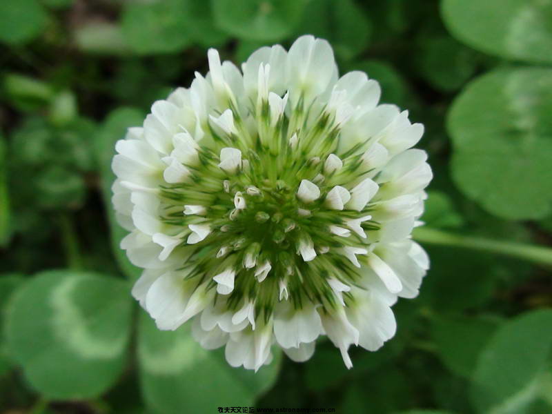 DSC00056_调整大小.JPG