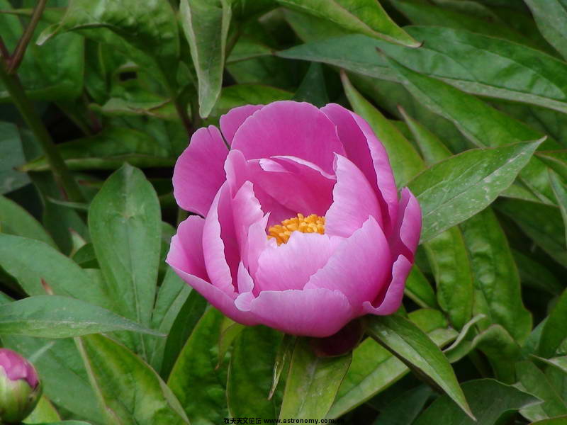 DSC00036_调整大小.JPG
