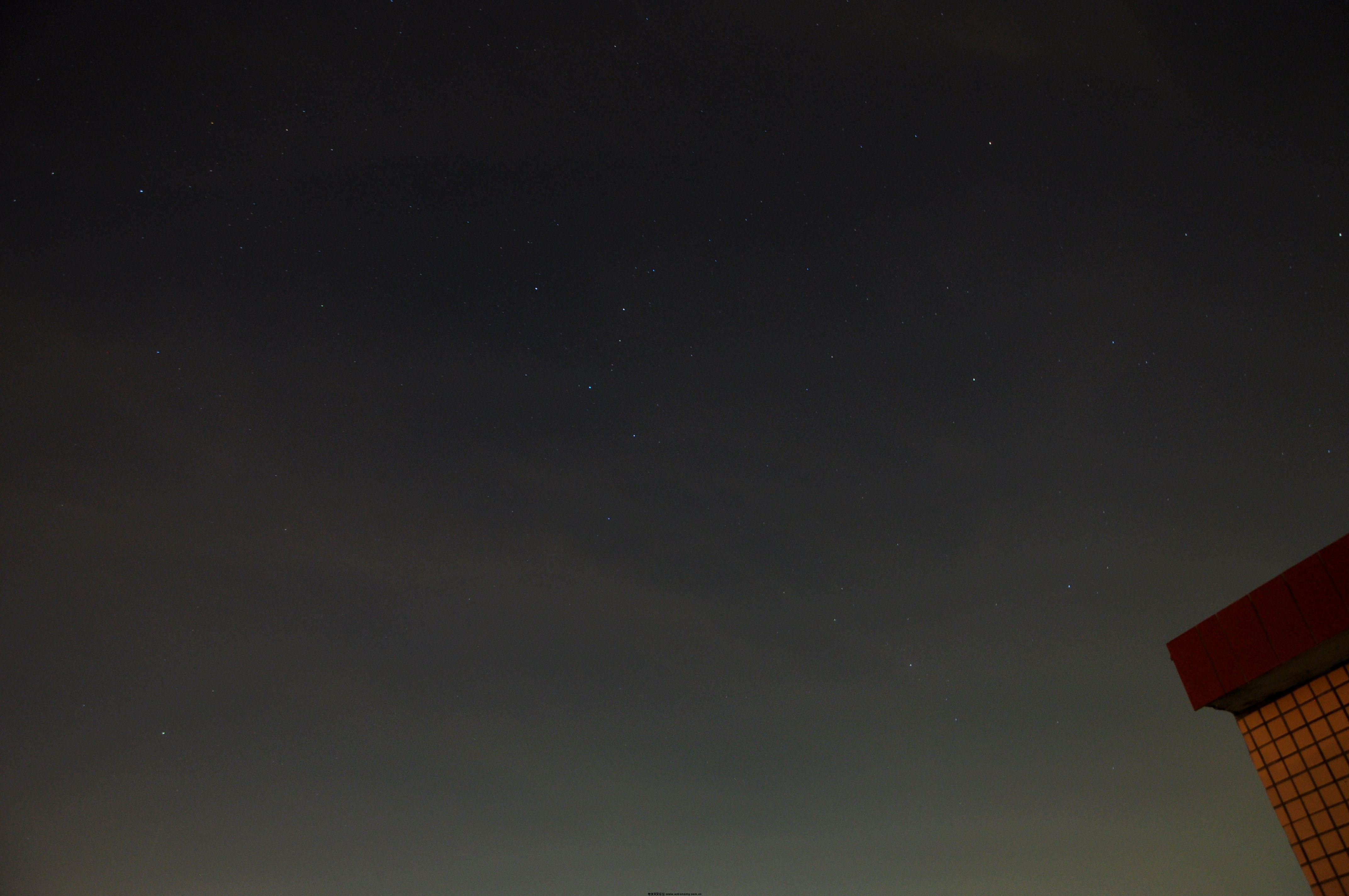 DSC_0558.jpg