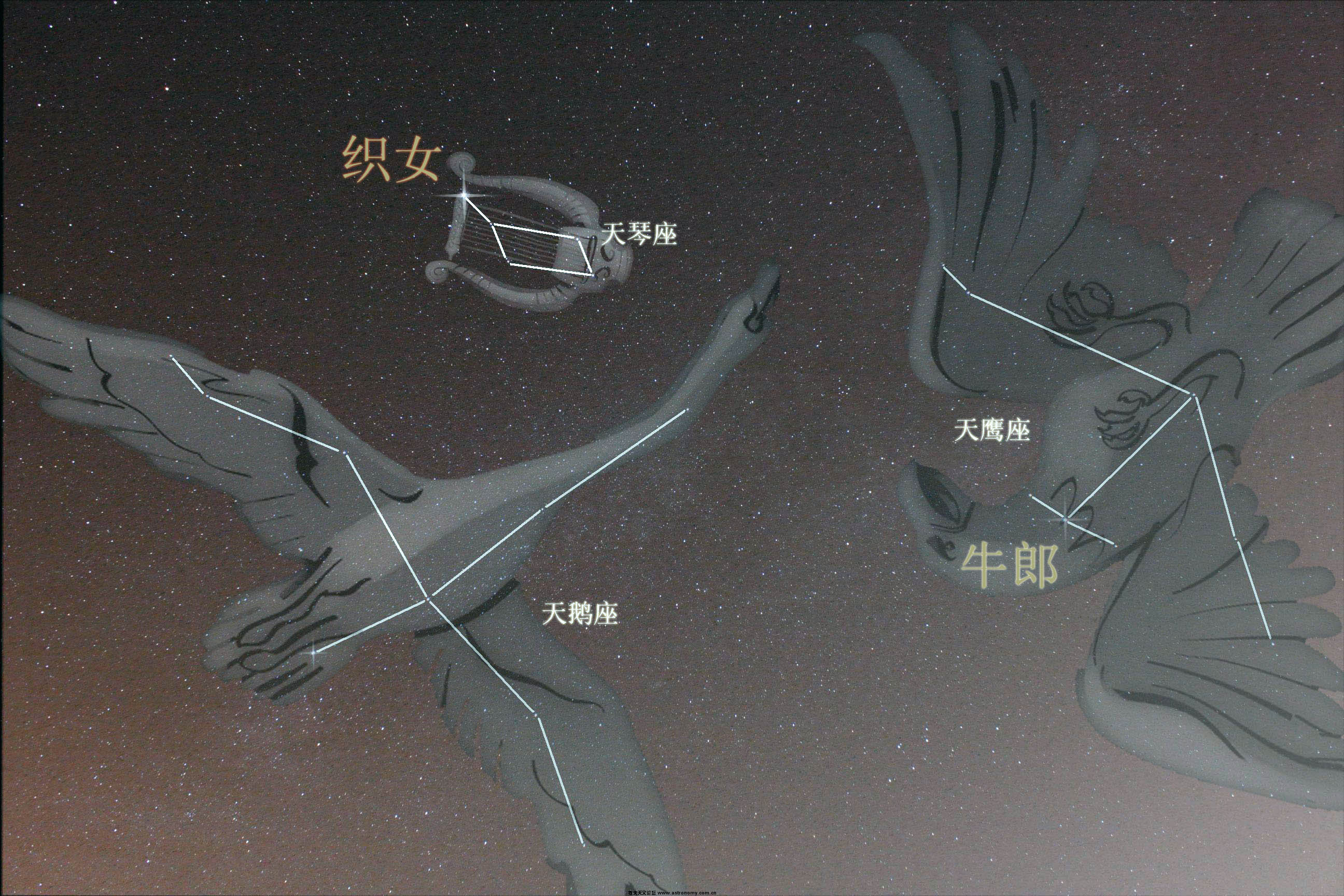 星座图绘3.jpg