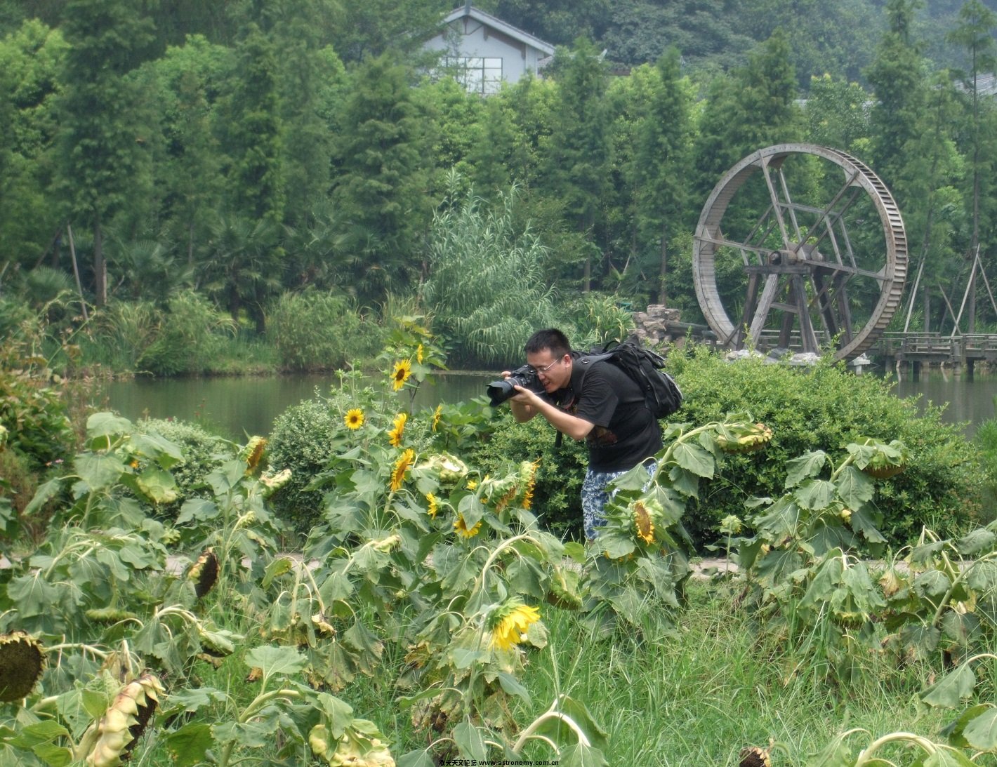 DSCF7035.JPG