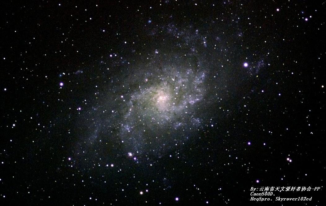 M33