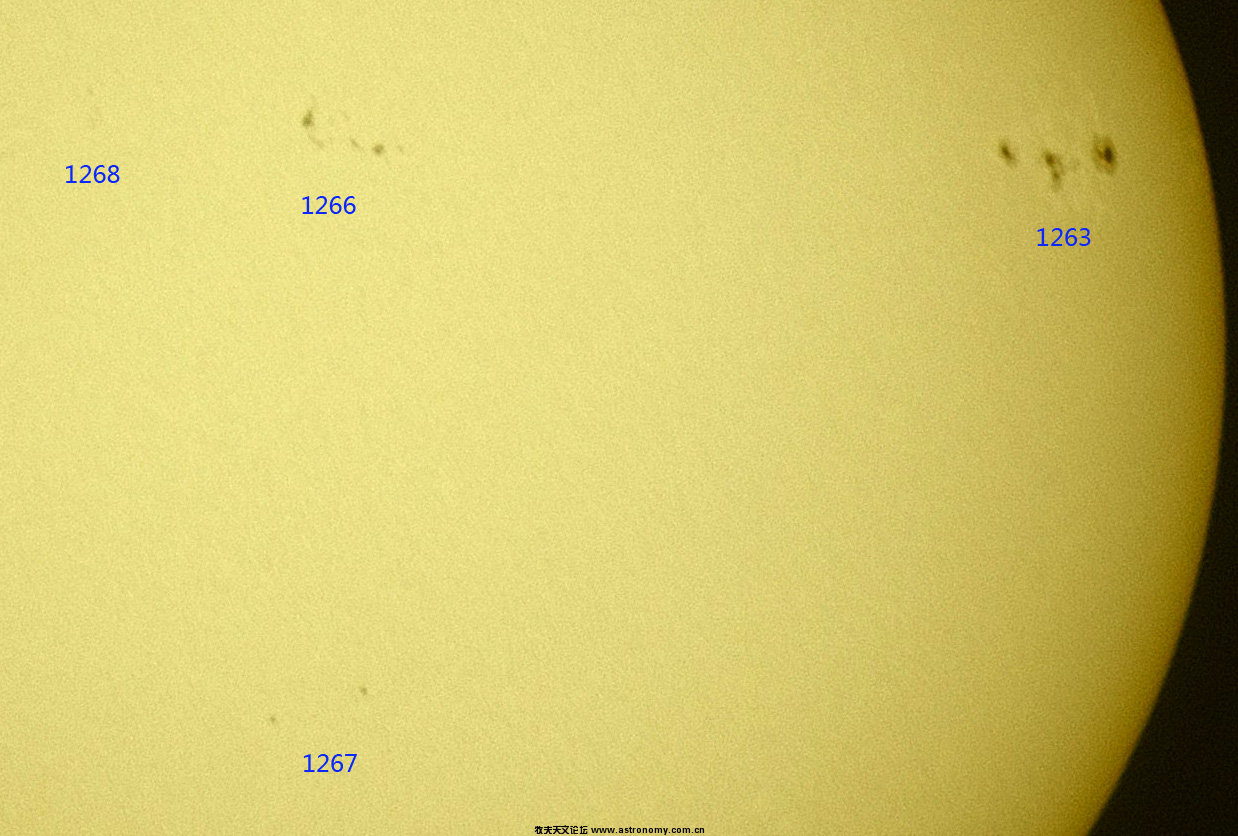 1263 66 67 68.jpg