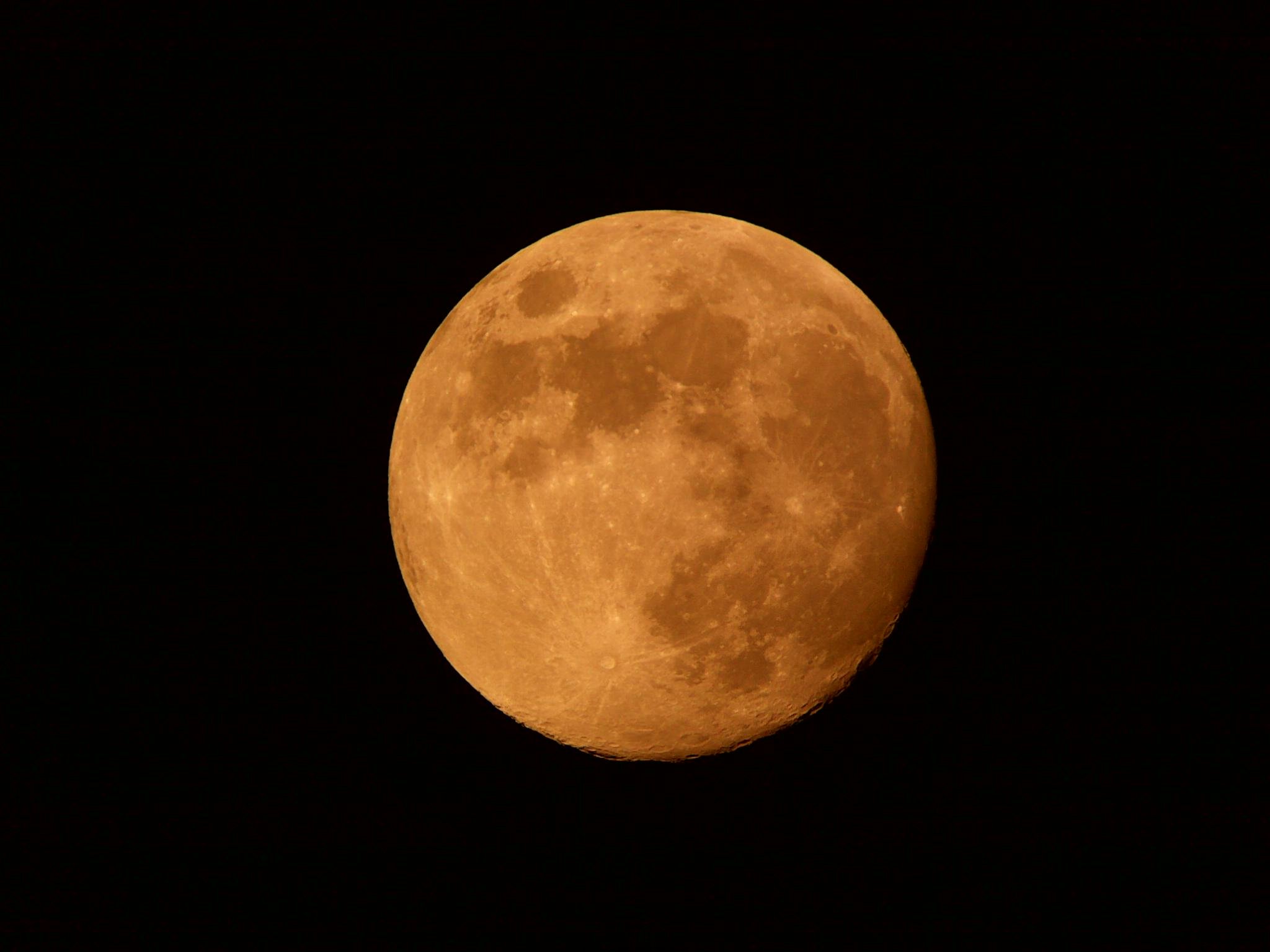 20110812152.jpg