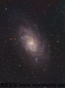 M33