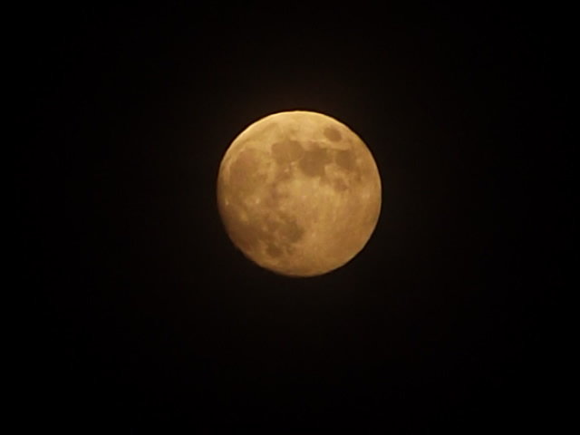 DSCF2554.JPG