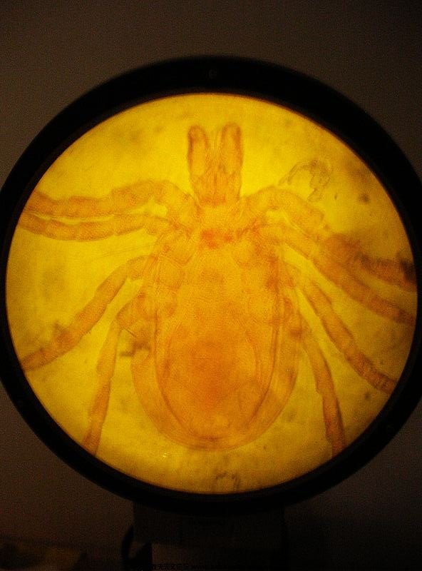 DSCN8288.jpg