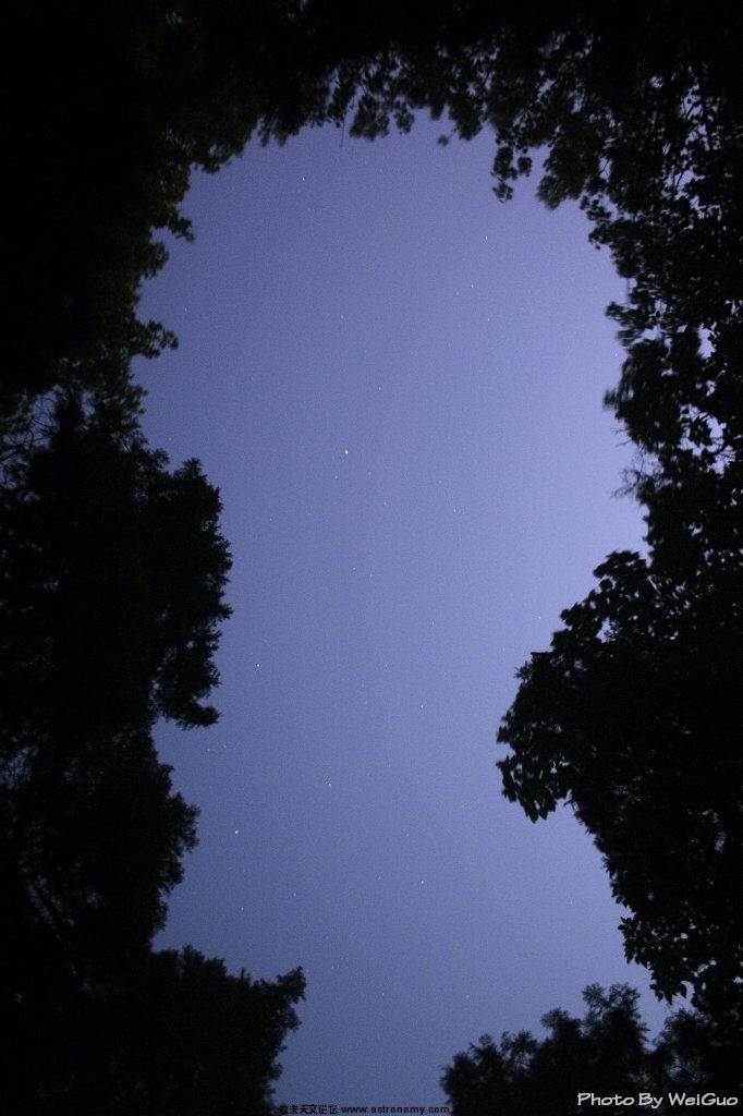 CRW_1780.jpg