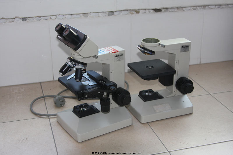 nikon4.jpg