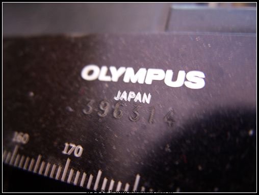 SS850060.jpg