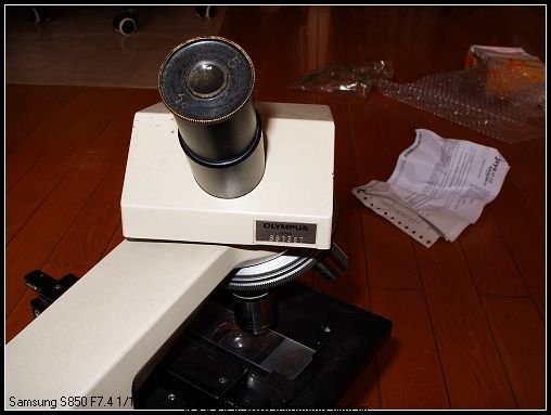 SS850052.jpg