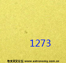 1273.jpg