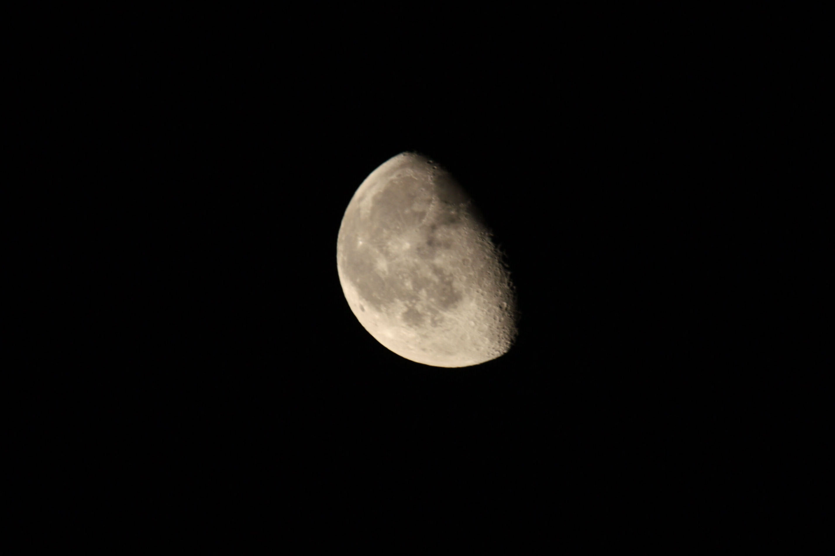 IMG_47.jpg