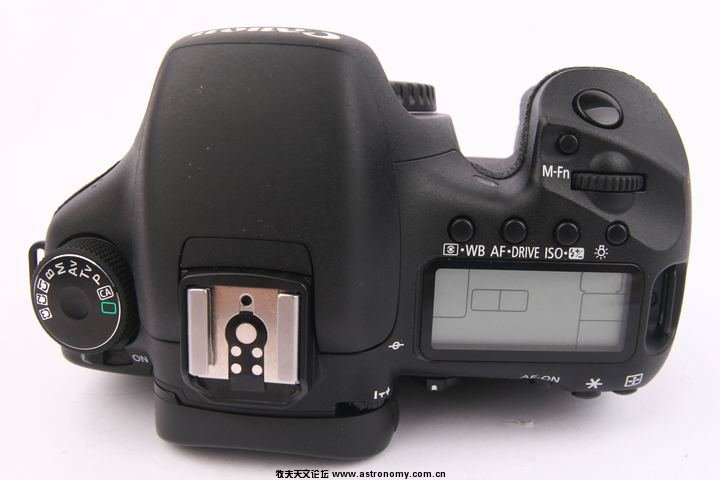 4230912.jpg