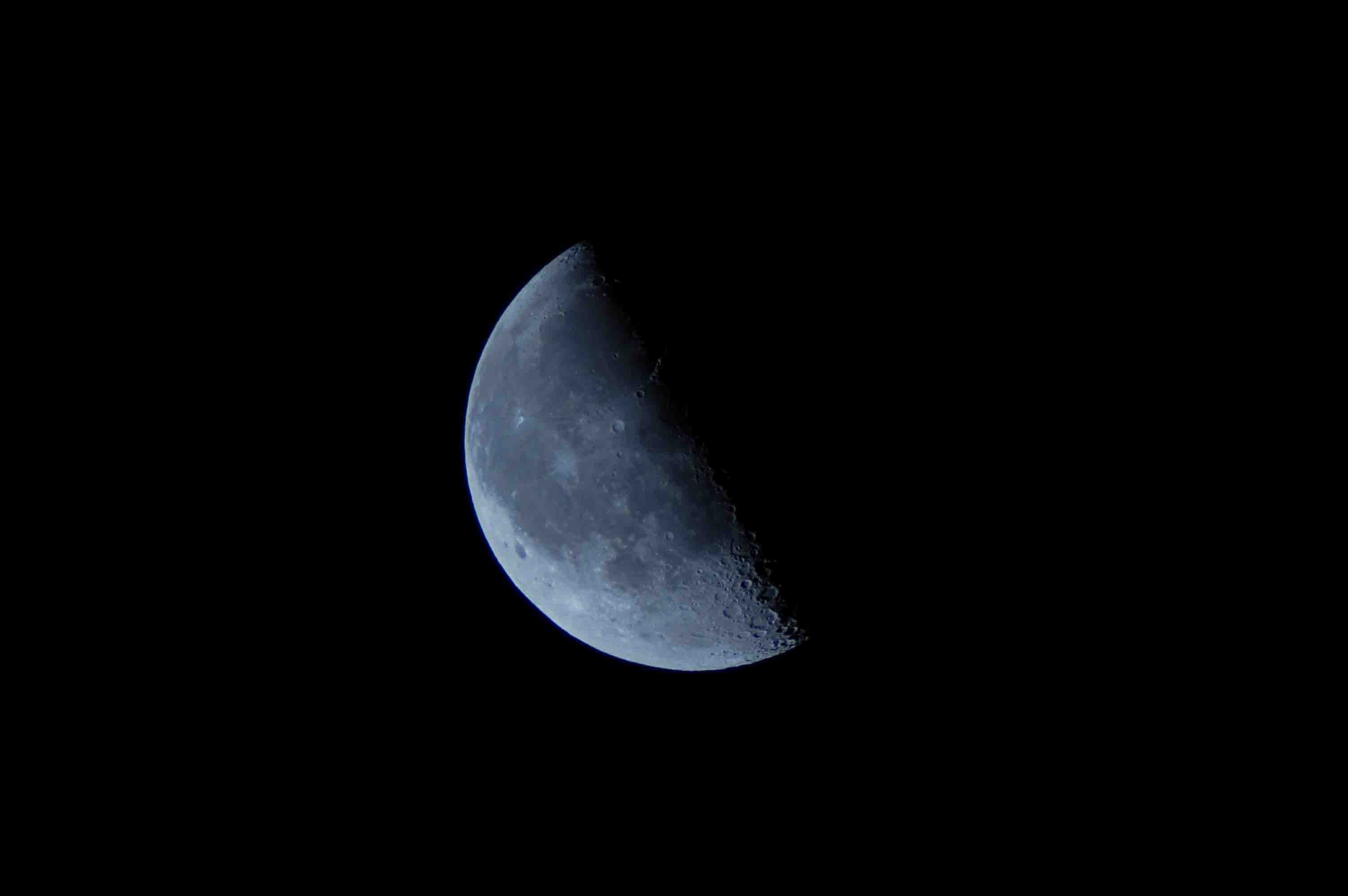 DSC_0101.jpg
