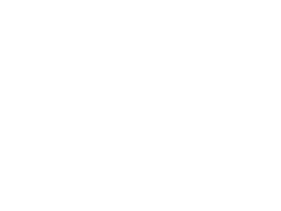 1.bmp