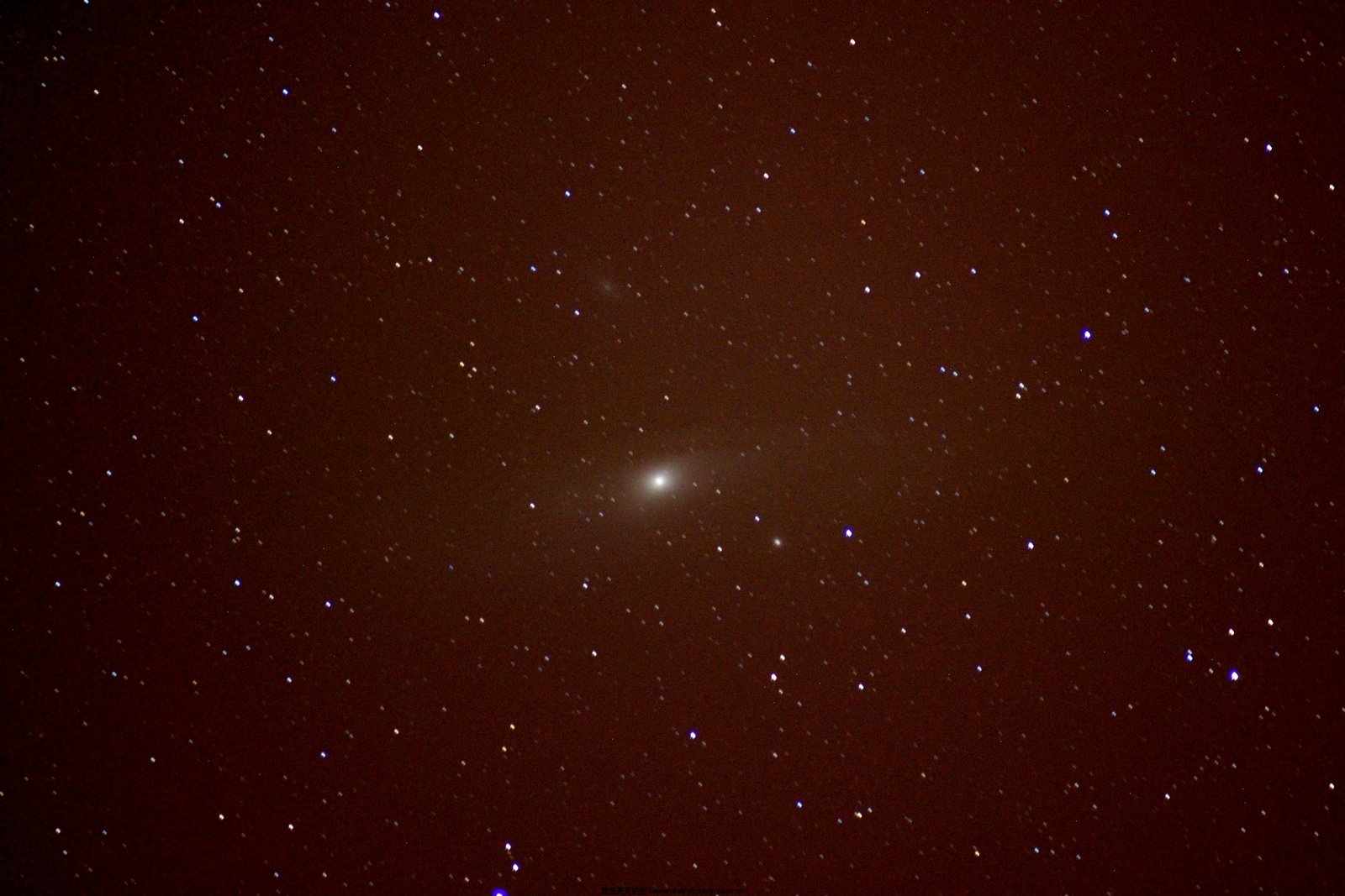 M31