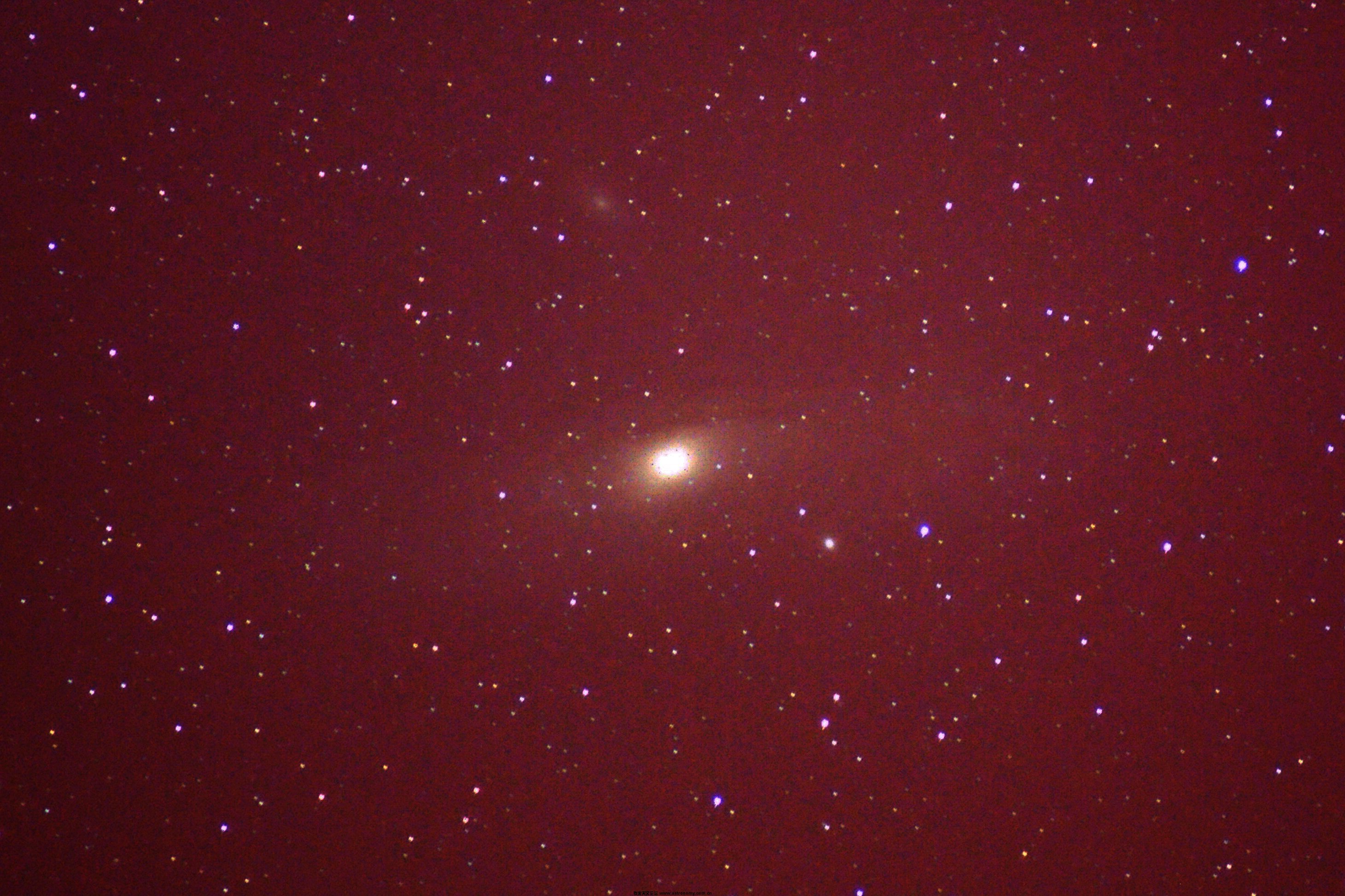 M31
