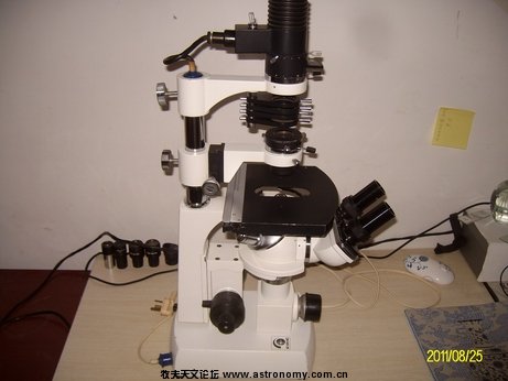 ALIM9640.jpg